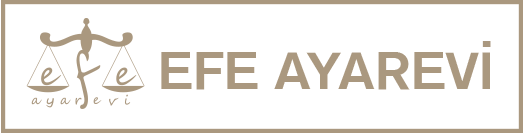 EFE AYAREVİ