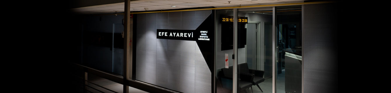 EFE AYAREVİ Hakkımızda